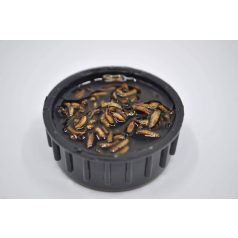 MEUS Liquid Food White Worm /Fehér féreg/ 1000 ml